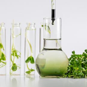 Anionic surfactants 